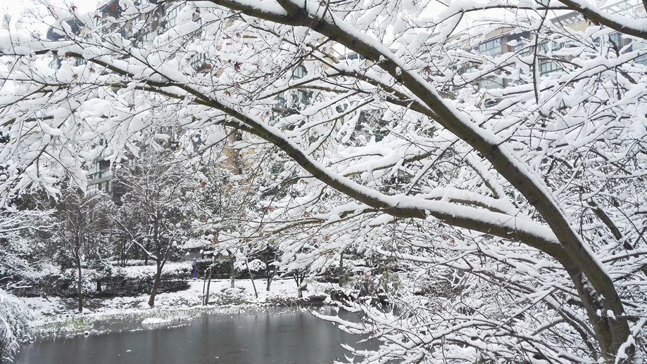 几条简单的曲线,就能勾勒出雪景中的美丽 几条简单的曲线,就能勾勒出雪景中的美丽