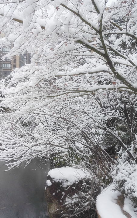 雪景中的动感 雪景中的动感